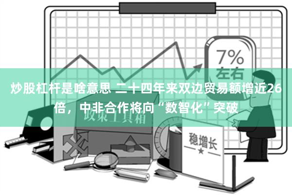 炒股杠杆是啥意思 二十四年来双边贸易额增近26倍，中非合作将向“数智化”突破