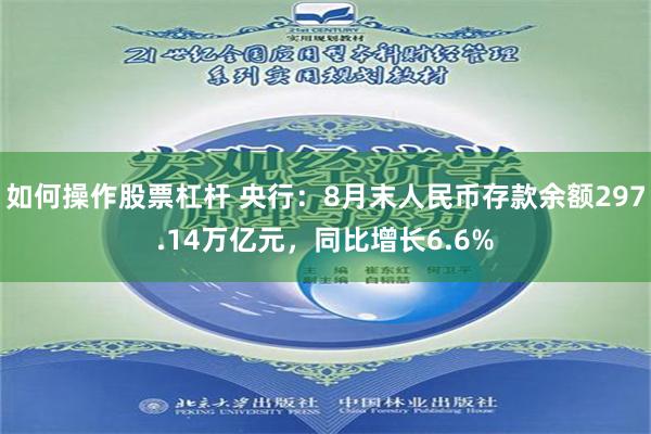 如何操作股票杠杆 央行：8月末人民币存款余额297.14万亿元，同比增长6.6%