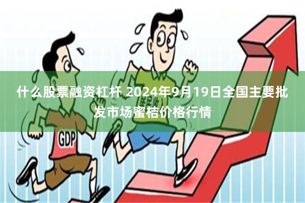 什么股票融资杠杆 2024年9月19日全国主要批发市场蜜桔价格行情