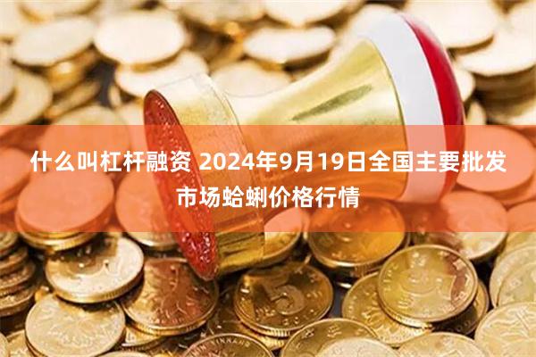 什么叫杠杆融资 2024年9月19日全国主要批发市场蛤蜊价格行情