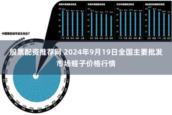 股票配资推荐网 2024年9月19日全国主要批发市场蛏子价格行情