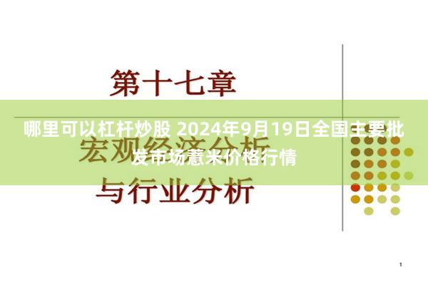 哪里可以杠杆炒股 2024年9月19日全国主要批发市场薏米价格行情