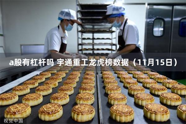 a股有杠杆吗 宇通重工龙虎榜数据（11月15日）