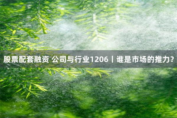 股票配套融资 公司与行业1206丨谁是市场的推力？