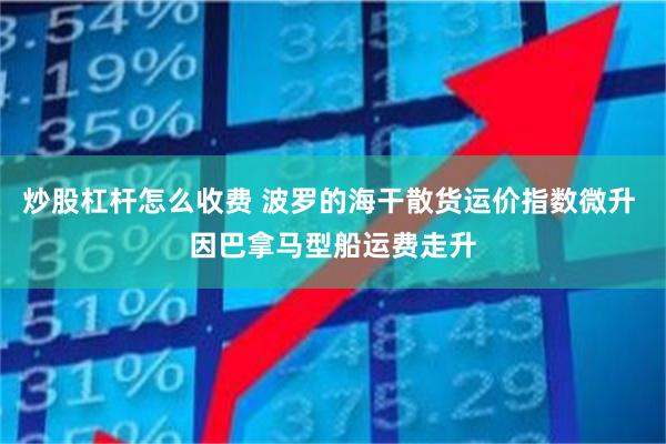 炒股杠杆怎么收费 波罗的海干散货运价指数微升 因巴拿马型船运费走升