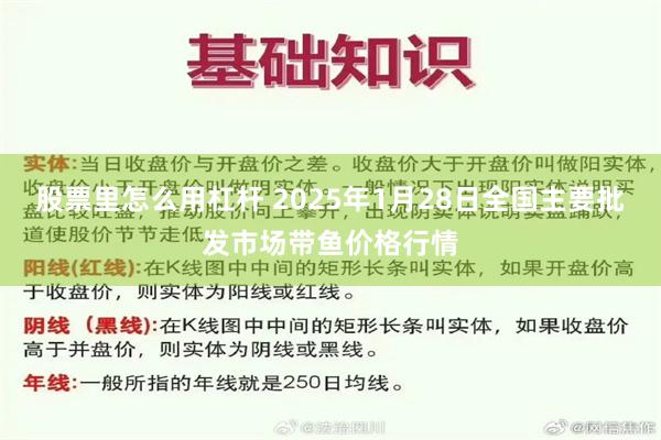 股票里怎么用杠杆 2025年1月28日全国主要批发市场带鱼价格行情