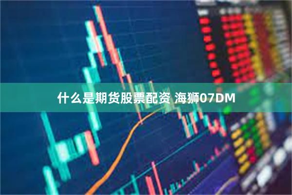 什么是期货股票配资 海狮07DM