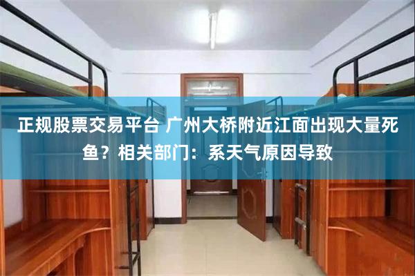 正规股票交易平台 广州大桥附近江面出现大量死鱼？相关部门：系天气原因导致